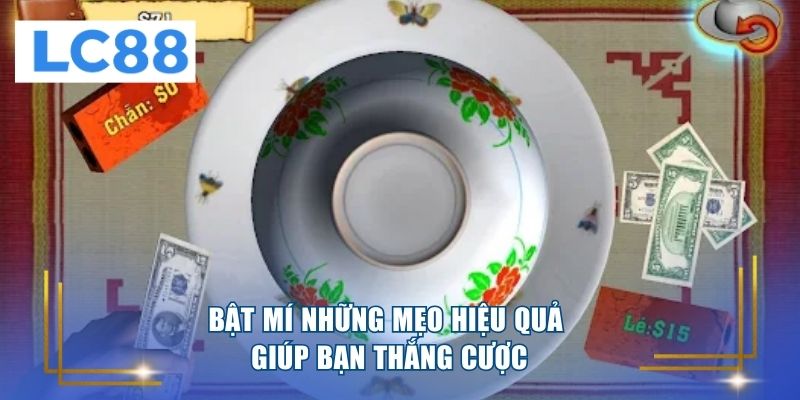 Bật mí những mẹo hiệu quả giúp bạn thắng cược 